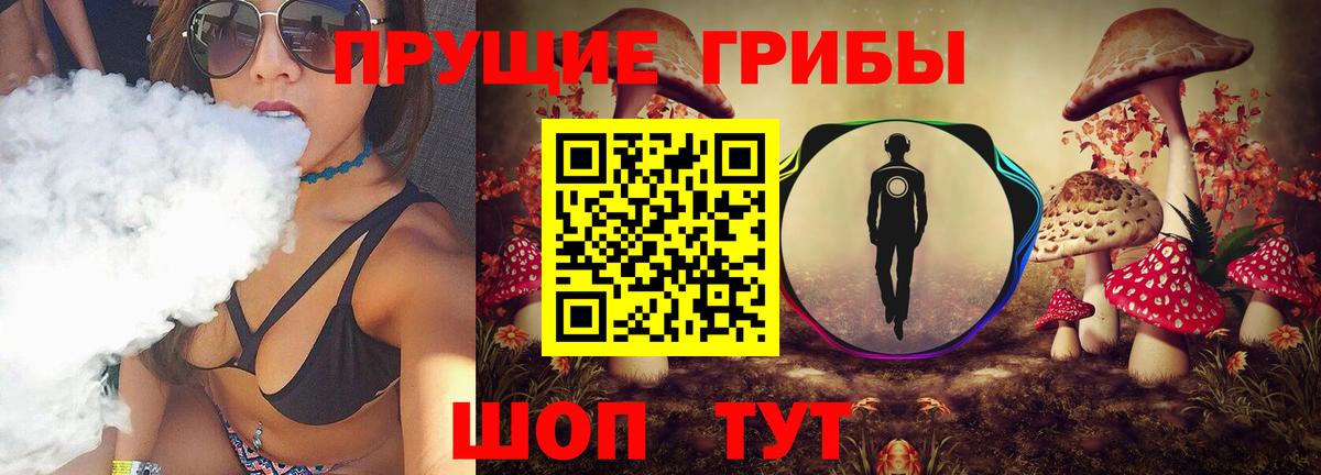 Заинск  Галлюциногенные грибы прущие грибы  Вход с VPN 
